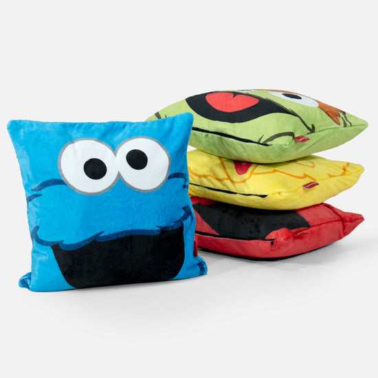 Scatter Cushion Cover 47 x 47cm - Big Bird 04