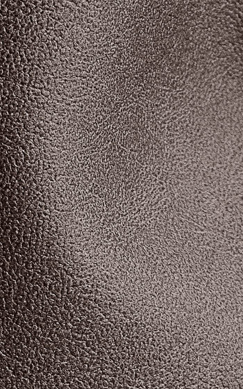 Vegan Leather