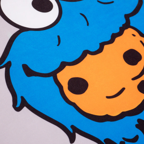 Flexforma Junior Children's Bean Bag Chair 2-14 yr - Cookie Monster Fabric Close-up Image