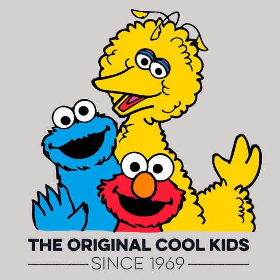 Sloucher Bean Bag Chair - Original Cool Kids 04