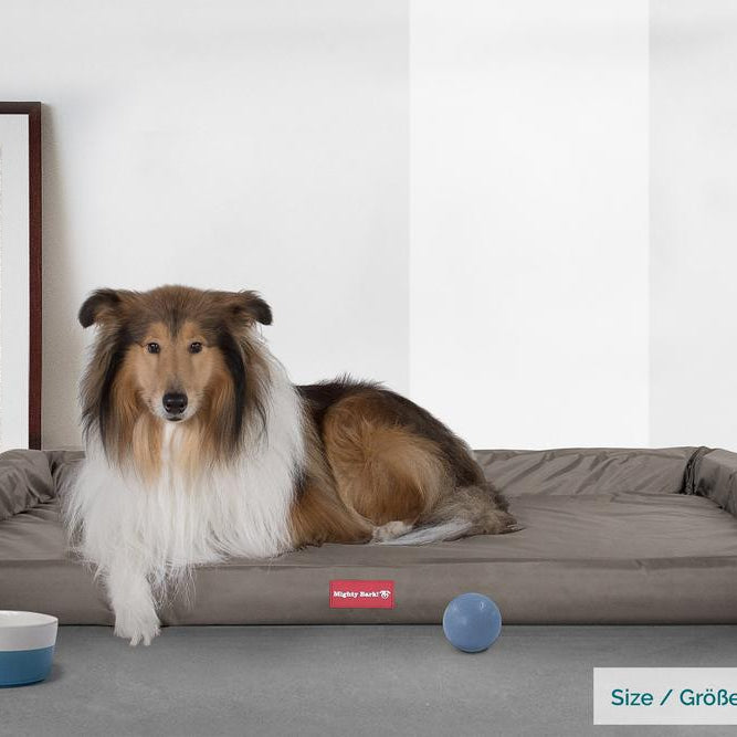 "The Bench By Mighty-Bark" - Orthopedic Memory Foam Dog Bed, Large, Medium, XXL - Waterproof Grey