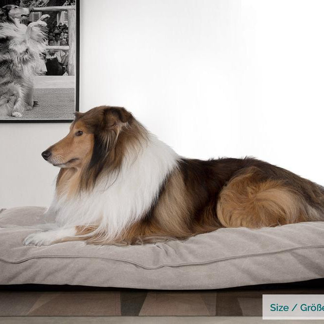 The Mattress Orthopedic Classic Memory Foam Dog Bed - Canvas Pewter 02