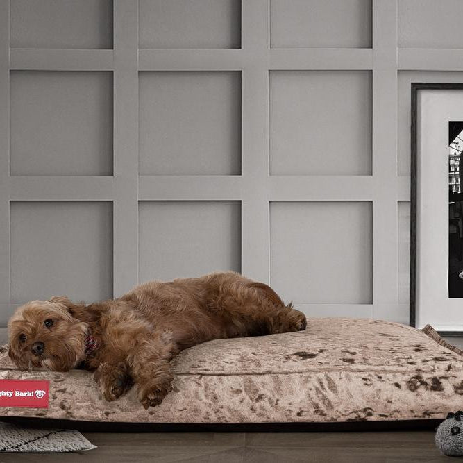 "The Mattress By Mighty-Bark" - Orthopedic Classic Memory Foam Dog Bed Cushion For Pets, Medium, XXL - Glitz Truffle