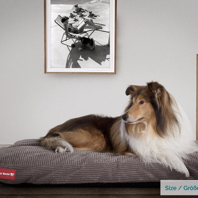 "The Mattress By Mighty-Bark" - Orthopedic Classic Memory Foam Dog Bed Cushion For Pets, Medium, XXL - Pom Pom Charcoal