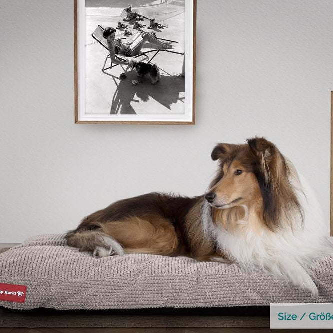 "The Mattress By Mighty-Bark" - Orthopedic Classic Memory Foam Dog Bed Cushion For Pets, Medium, XXL - Pom Pom Mink