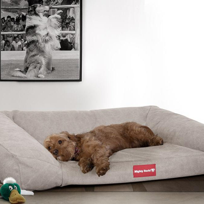 The Sofa Orthopedic Memory Foam Sofa Dog Bed - Canvas Pewter 02