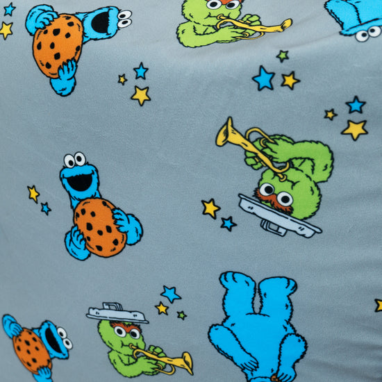Printed Sofa Bean Bag - Cookie Monster & Oscar The Grouch 03